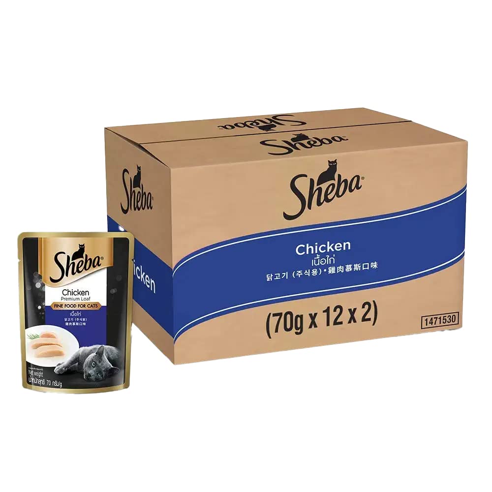 Sheba Chicken Loaf Rich Premium Adult Fine Wet Food and Salmon All Life Stage Cat Dry Food Combo