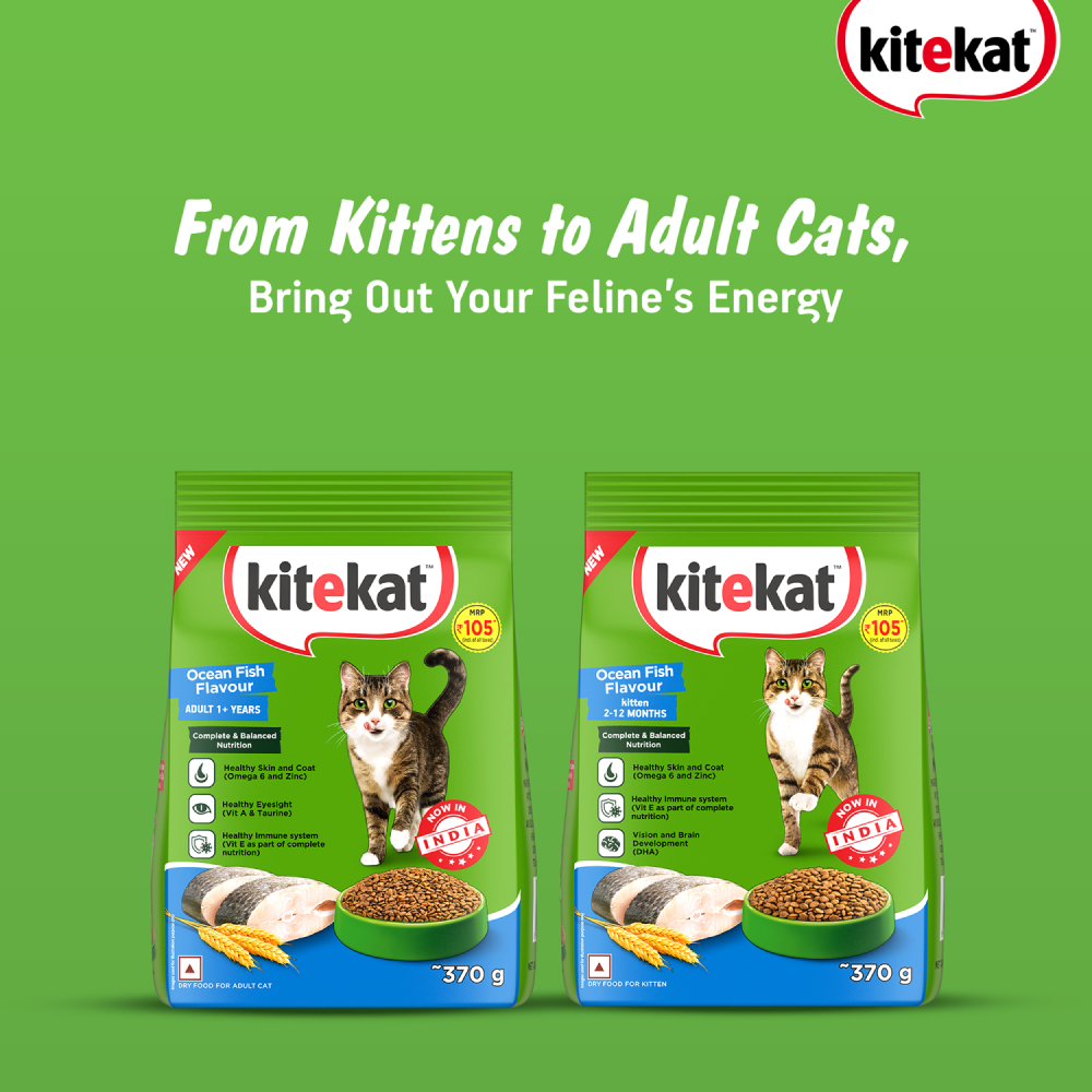 Kitekat Ocean Fish Kitten Dry Food