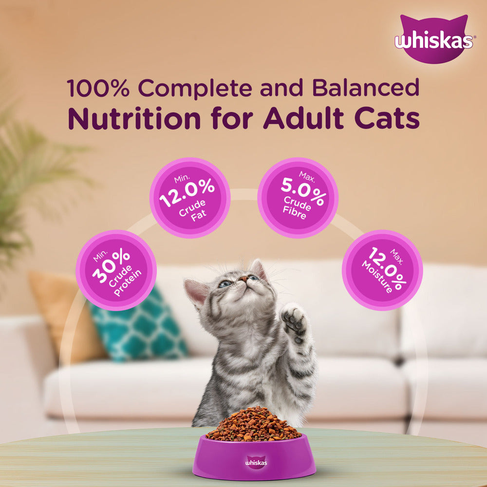 Whiskas Mackerel Flavour Kitten 2 to 12 monthsCat Dry Food