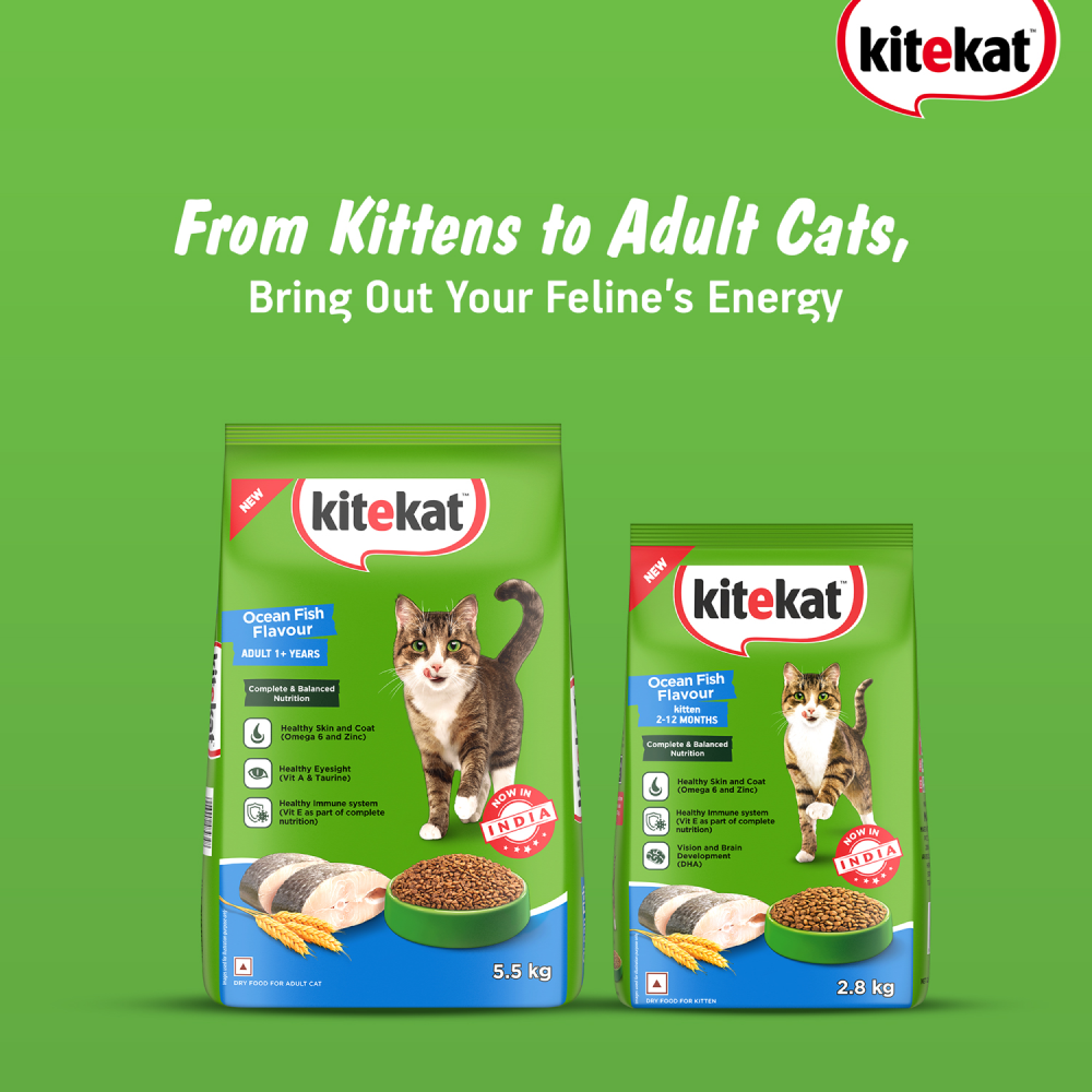 Kitekat Ocean Fish Adult Cat Dry Food