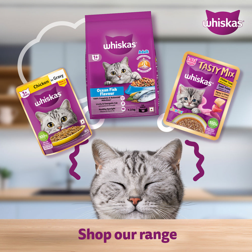 Whiskas Tuna in Jelly Meal Adult Cat Wet Food