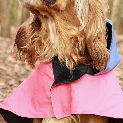 Pet Set Go Dual Colour Cape Style Raincoat for Dogs Pink