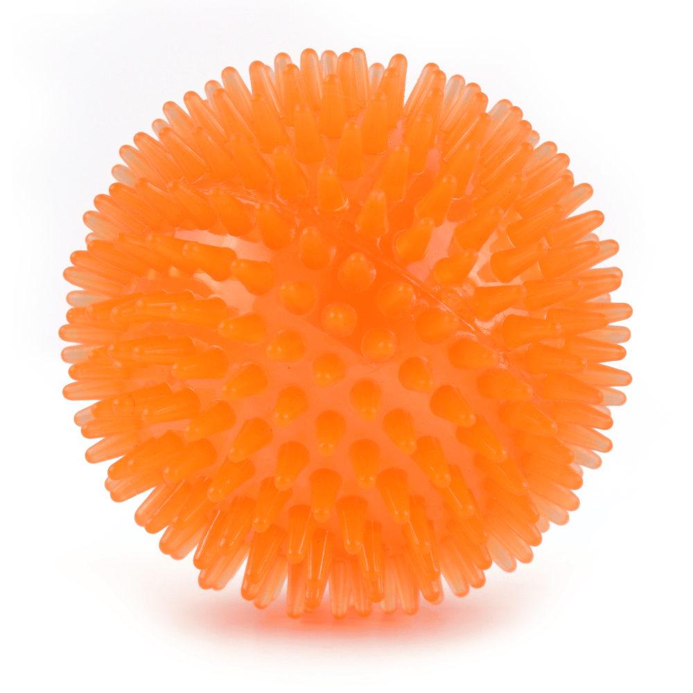 Basil Squeaky Rubber Ball Toy for Dogs Orange  For Medium Chewers Orange