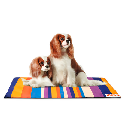 Kibbo Lightweight and Portable Summer Mats for Dogs and Cats OrangePurple