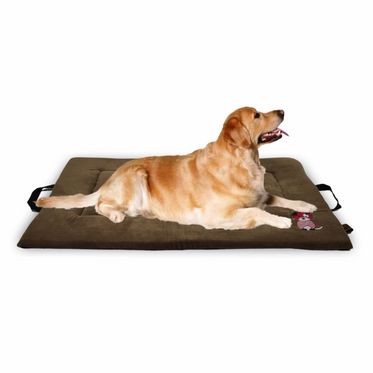 Petter World Memory Foam Base with Cooling Gel Summer Mat for Dogs and Cats Mocha Brown