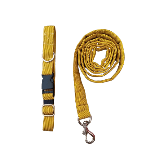 FurBuddies Collar  Leash Set for Dogs Dandelion Yellow