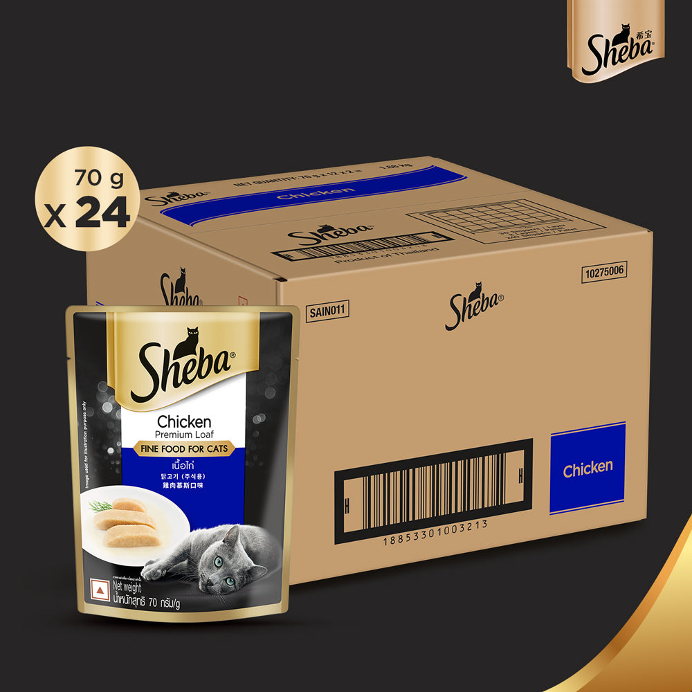 Sheba Chicken Loaf Rich Premium Adult Fine Wet Food and Salmon All Life Stage Cat Dry Food Combo