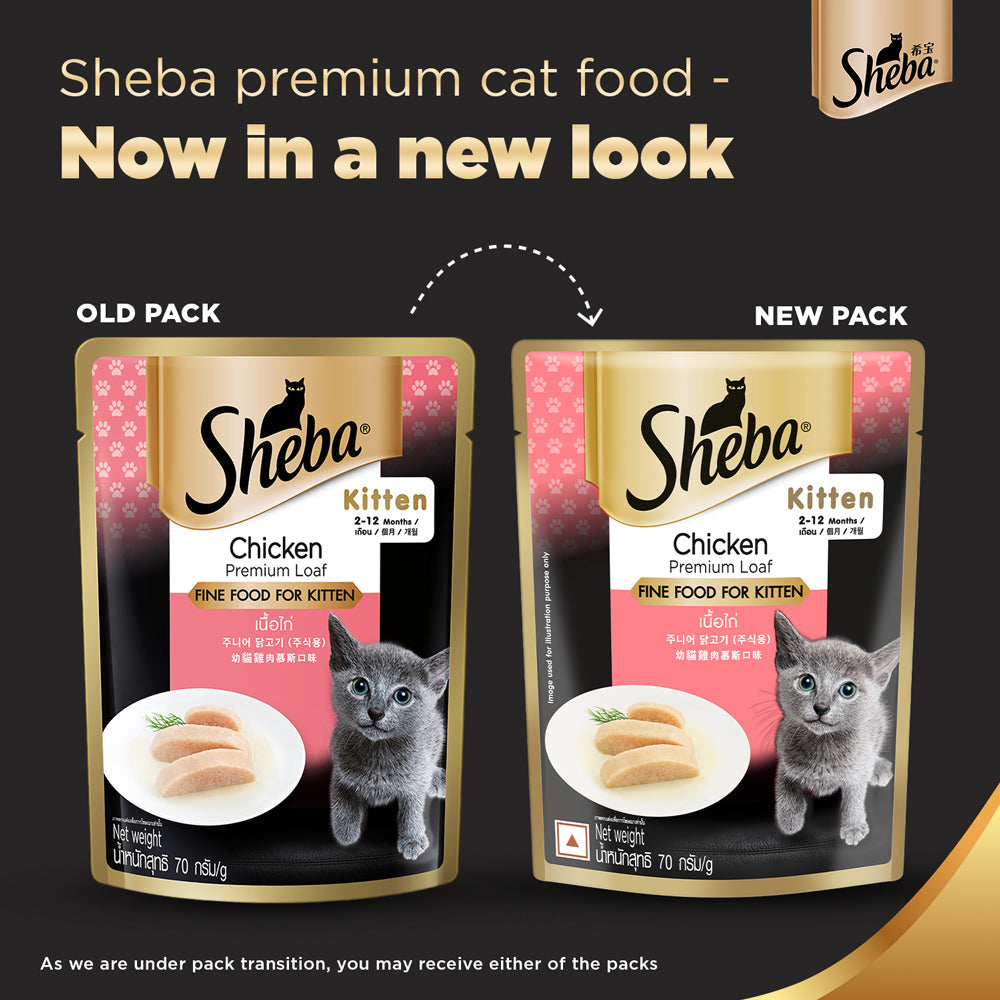 Sheba Chicken Loaf Rich Premium Kitten 2 to 12 Months Fine Cat Wet Food