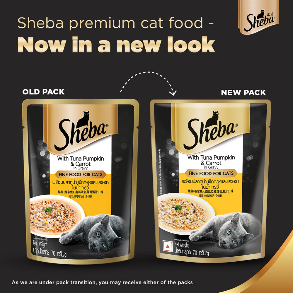 Sheba Tuna Pumpkin  Carrot In Gravy Rich Premium Adult Fine Cat Wet Food and Salmon Flavour Irresistible All Life Stages Cat Dry Food Combo