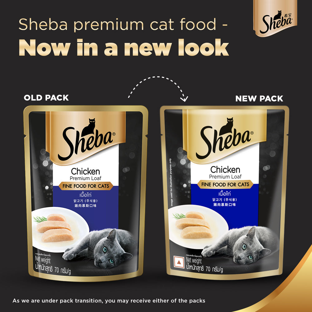 Sheba Chicken Loaf Rich Premium Adult Fine Wet Food and Salmon All Life Stage Cat Dry Food Combo