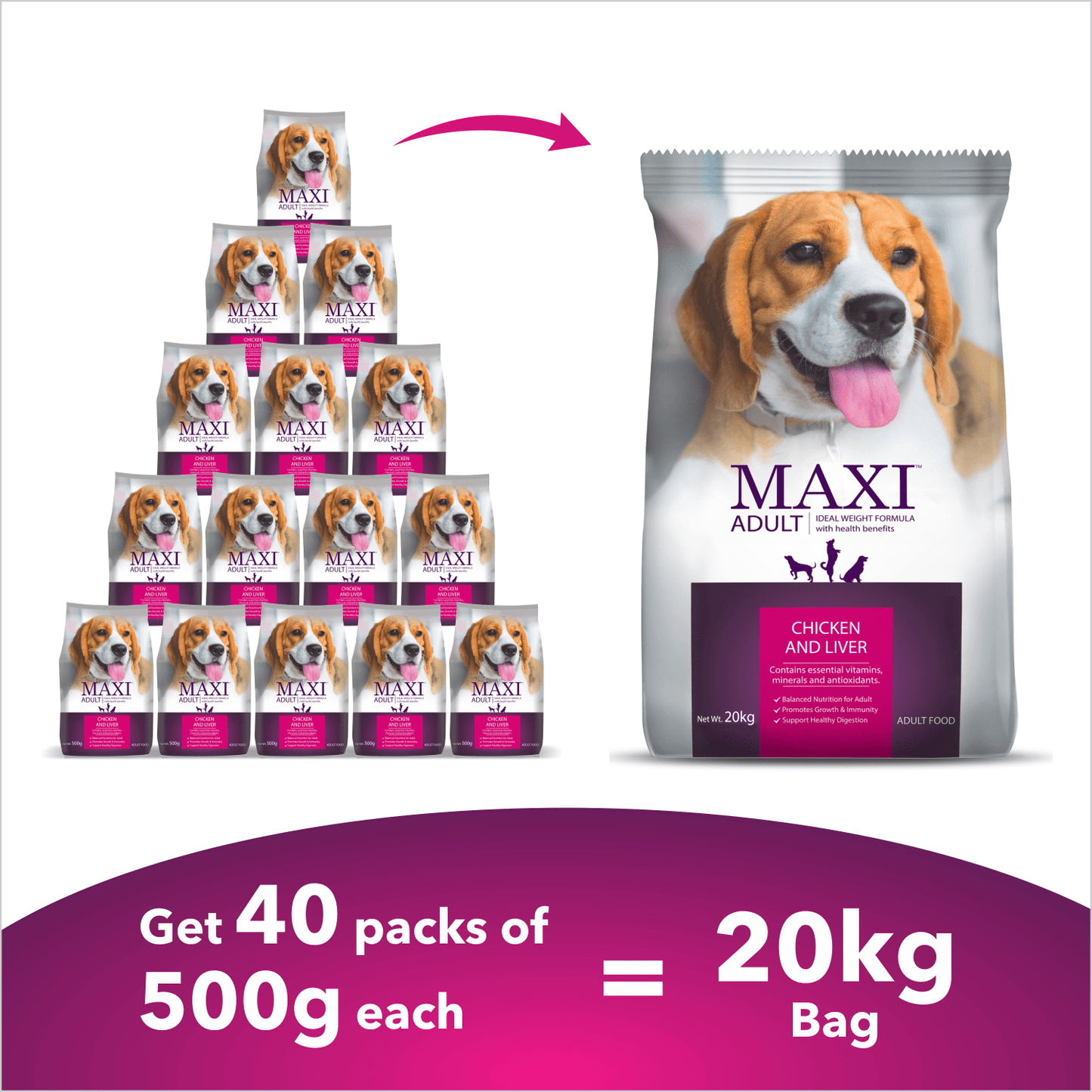 Maxi Adult Chicken and Liver Dog Dry Food