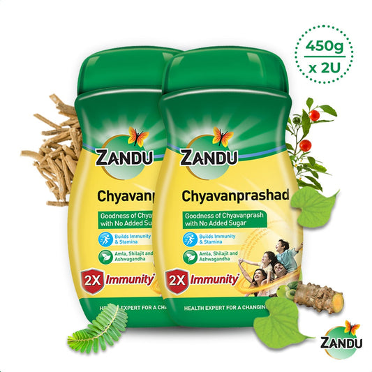 Chyavanprashad 450gPack of 2