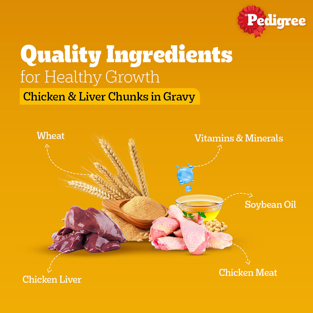 Pedigree Chicken and Liver Chunks in Gravy Adult Dog Wet Food 70g