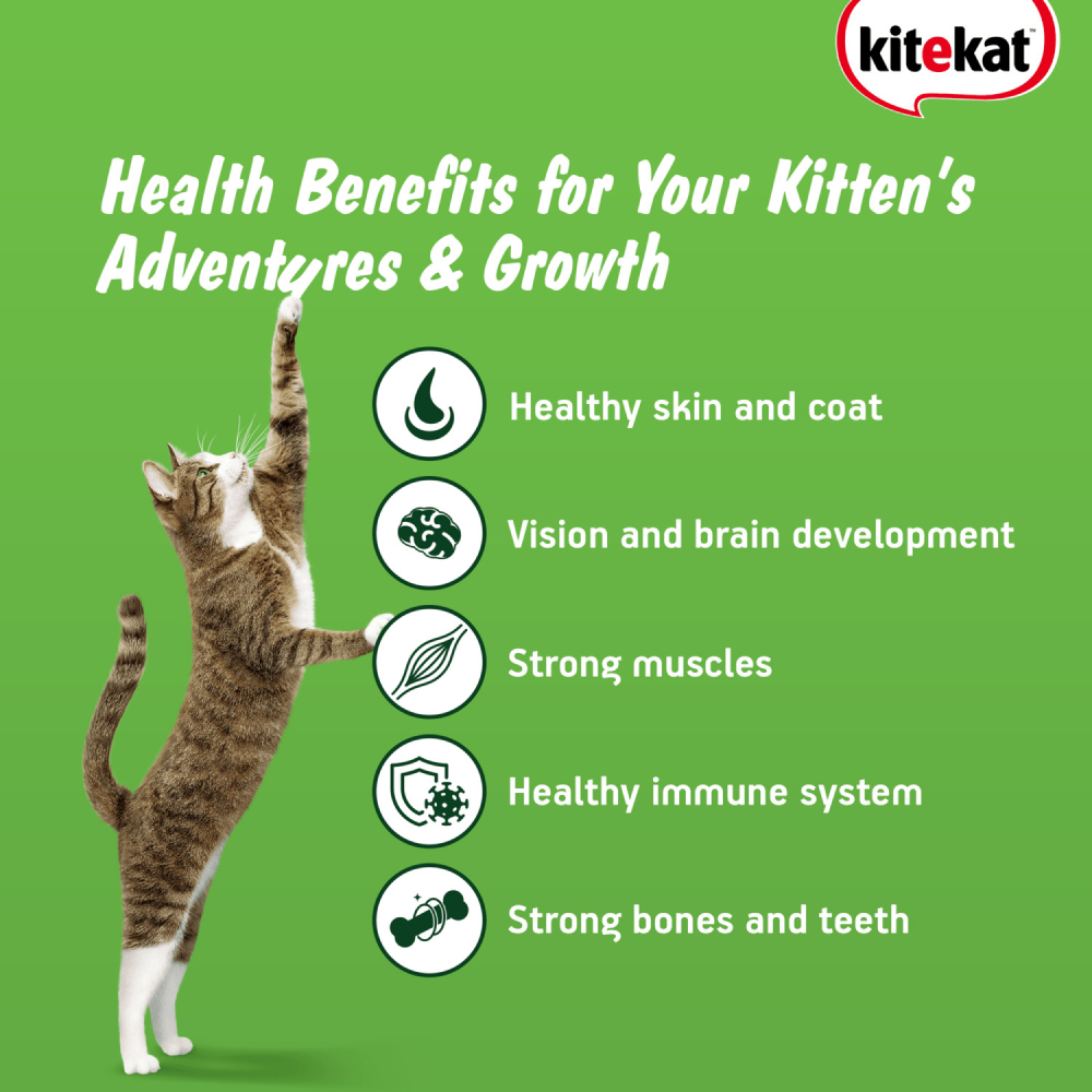 Kitekat Ocean Fish Kitten Dry Food