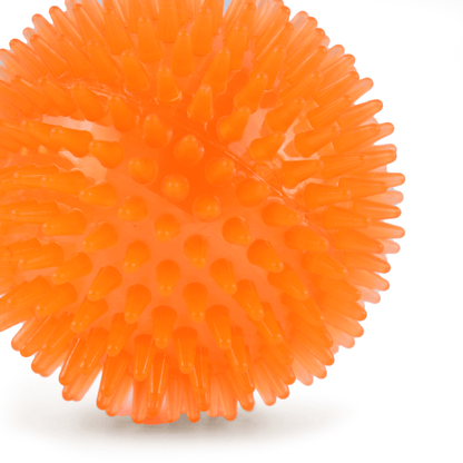 Basil Squeaky Rubber Ball Toy for Dogs Orange  For Medium Chewers Orange