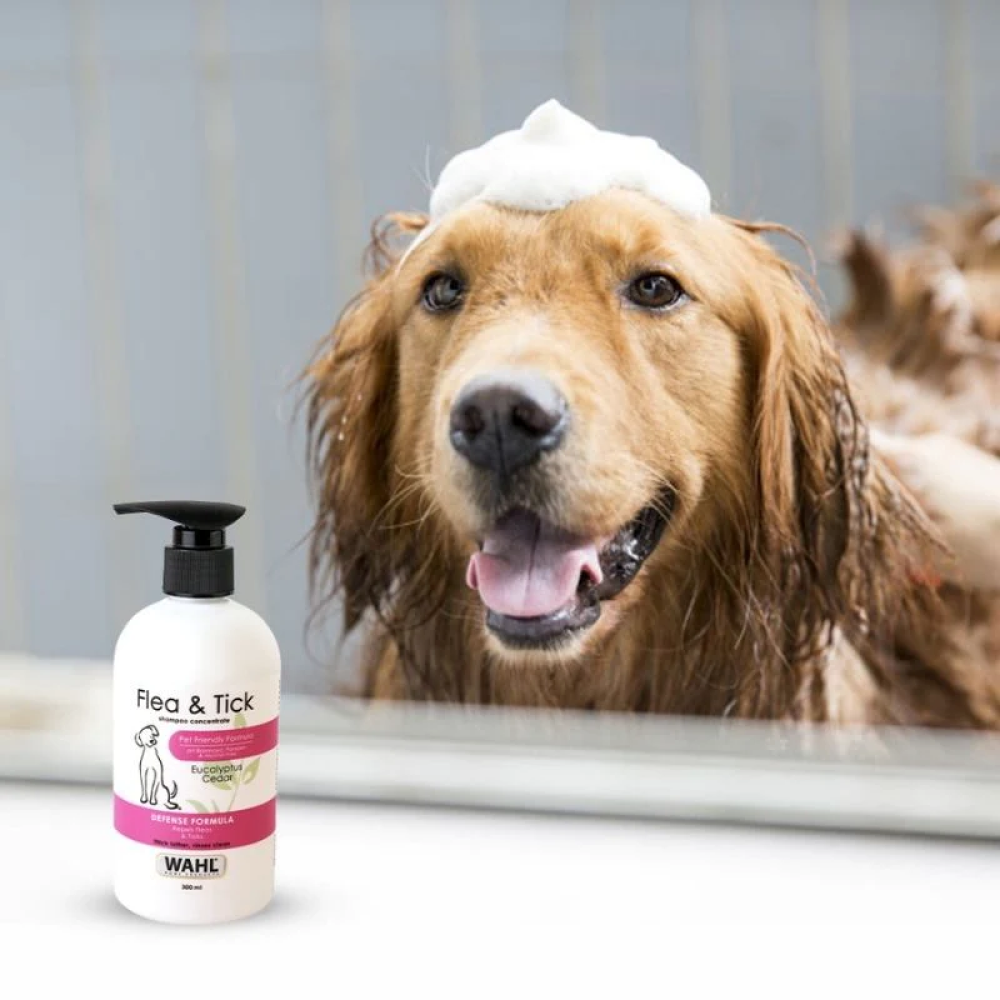 Wahl Flea and Tick Shampoo for Dogs