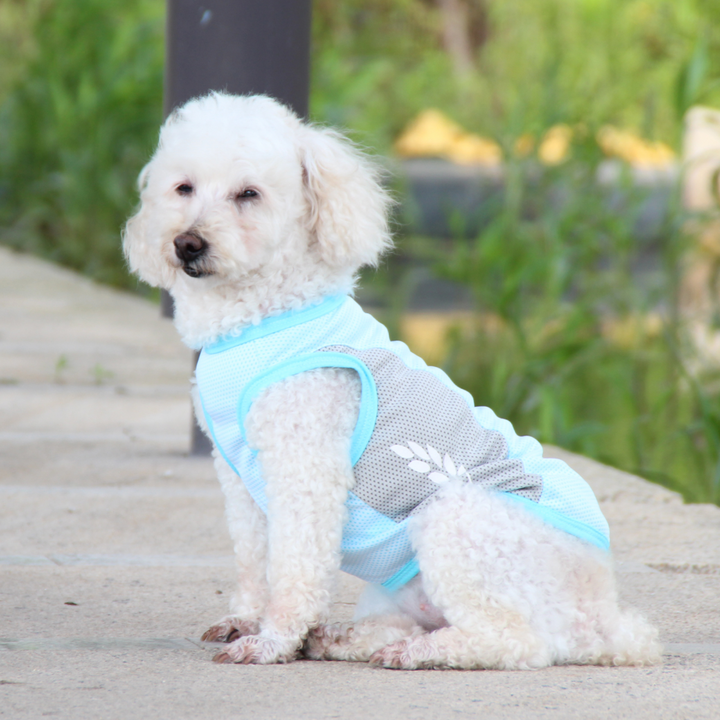 Talking Dog Club Coolios Cooling Vests for Dogs Blue