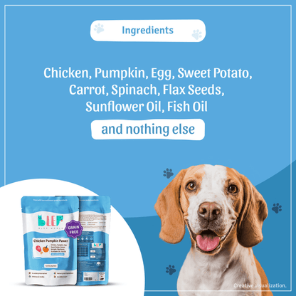 BLEP Chicken  Pumpkin Pawer Dog Wet Food 100g