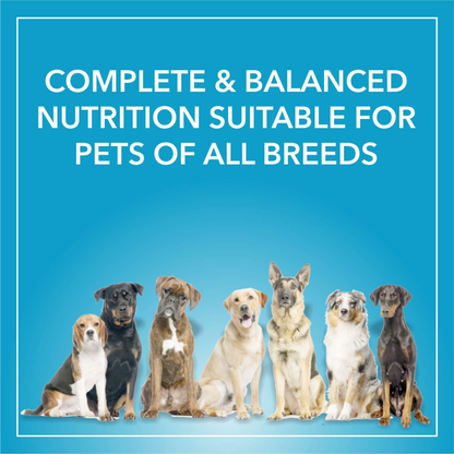 Purepet Chicken  Vegetable Adult Dog Dry Food