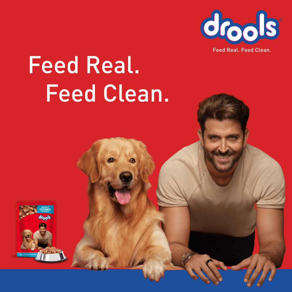 Drools Real Chicken  Chicken Liver Chunks in Gravy Adult Dog Wet Food