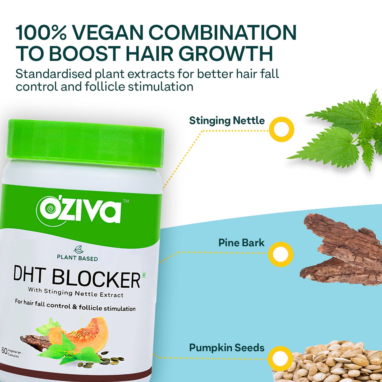 Oziva Plant Based Dht Blocker 60 Capsules Stinging Nettle Beta Sitosterol  Pine Bark Controls Hairfall  Stimulates Follicles Certified Clean  Vegan