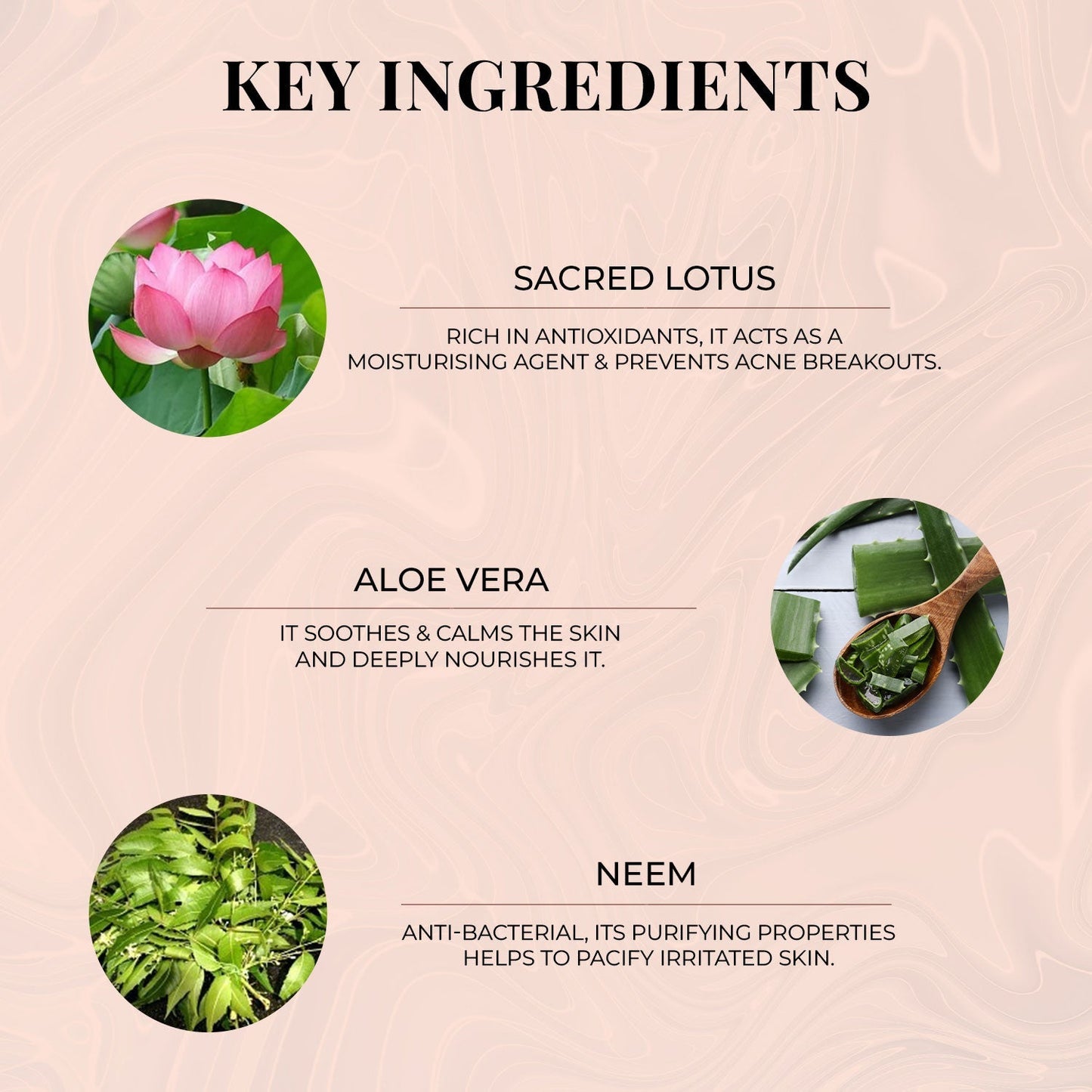 Sacred Indian Lotus Body Wash - Just Herbs