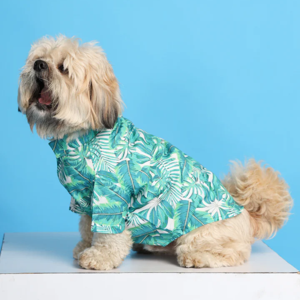 15buttons Rainforest Shirt for Dogs