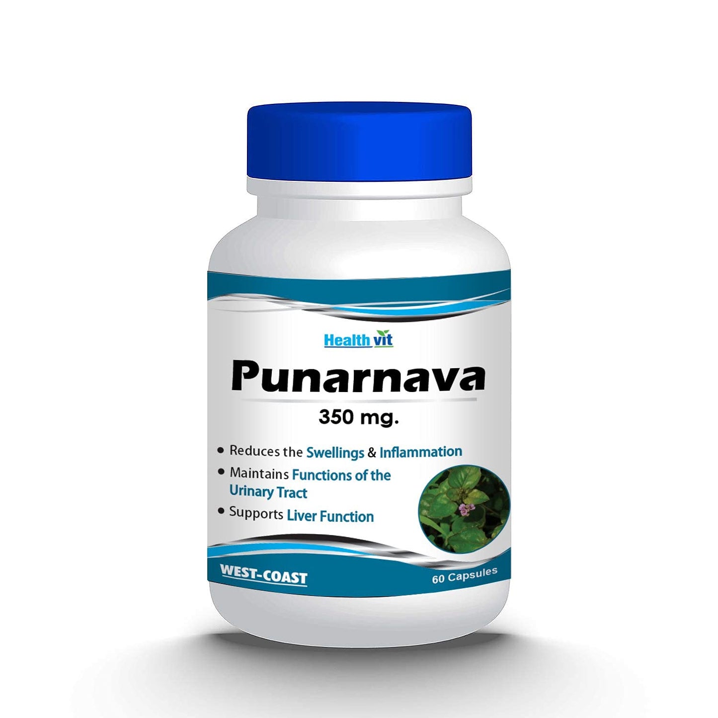 Healthvit Punarnava Powder 350mg - 60 Capsules