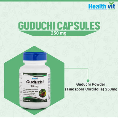 Healthvit Guduchi 250 mg 60 Capsules