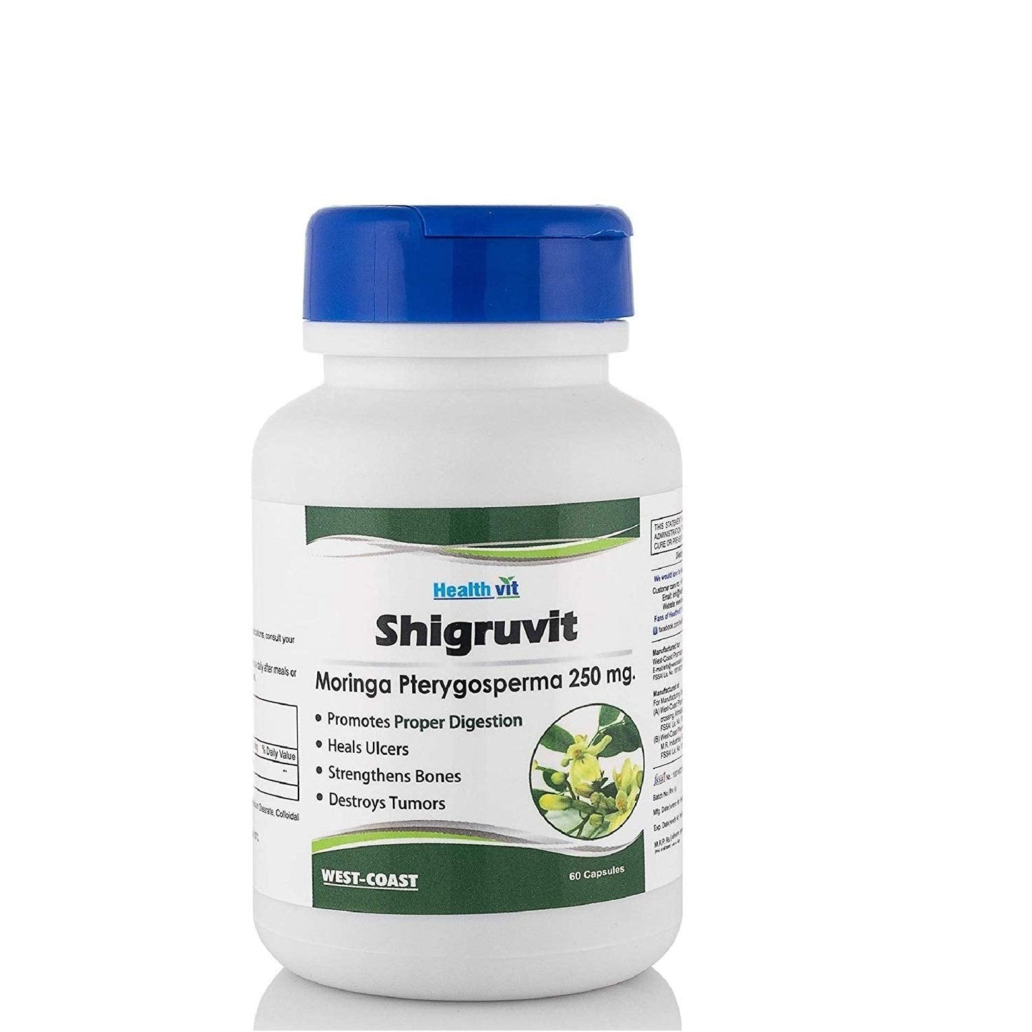 Healthvit Shigruvit Moringa Pterygrosperma - 250 mg 60 Capsules