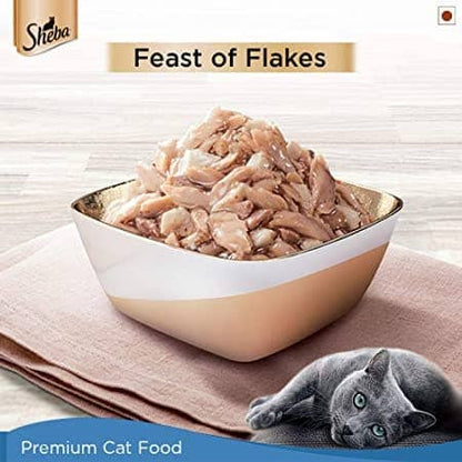 Sheba Maguro  Bream Fish Mix Premium Cat Wet Food and Salmon Flavour Irresistible All Life Stages Cat Dry Food Combo