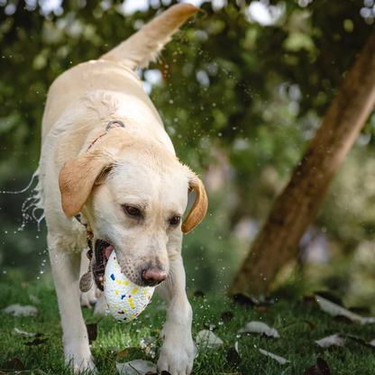 Talking Dog Club Bloom Rugby Indestructible Heavy Chew Toy for Dogs White