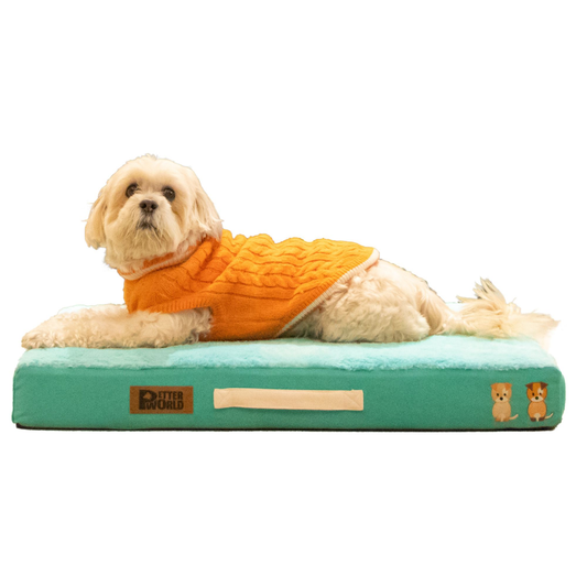 Petter World Micro Fur Orthopedic Mattress Bed with Memory Foam Base for Dogs Turquoise