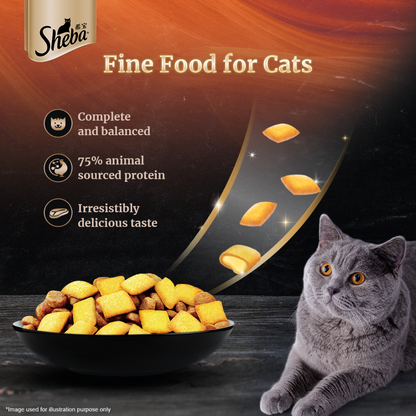 Sheba Skipjack  Salmon Fish Mix Cat Wet Food and Chicken Flavour Irresistible All Life Stage Cat Dry Food Combo