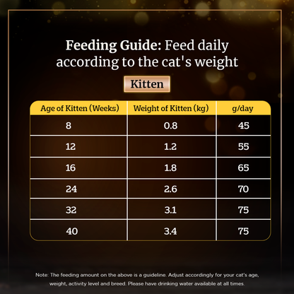 Sheba Tuna Fillet  Whole Prawns in Gravy Premium Cat Wet Food and Chicken Flavour Irresistible All Life Stage Cat Dry Food Combo