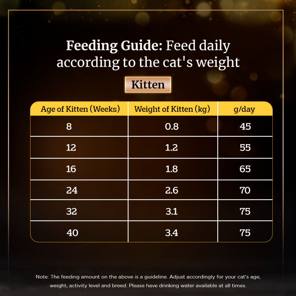 Sheba Chicken Loaf Premium Kitten 2 to 12 Months Wet Food and Chicken All Life Stage Cat Dry Food Combo