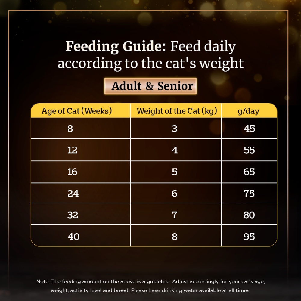 Sheba Tuna Fillet  Whole Prawns in Gravy Premium Cat Wet Food and Chicken Flavour Irresistible All Life Stage Cat Dry Food Combo