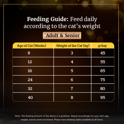 Sheba Tuna Fillet  Whole Prawns in Gravy Premium Cat Wet Food and Chicken Flavour Irresistible All Life Stage Cat Dry Food Combo