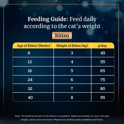 Sheba Chicken Loaf Rich Premium Adult Fine Wet Food and Salmon All Life Stage Cat Dry Food Combo