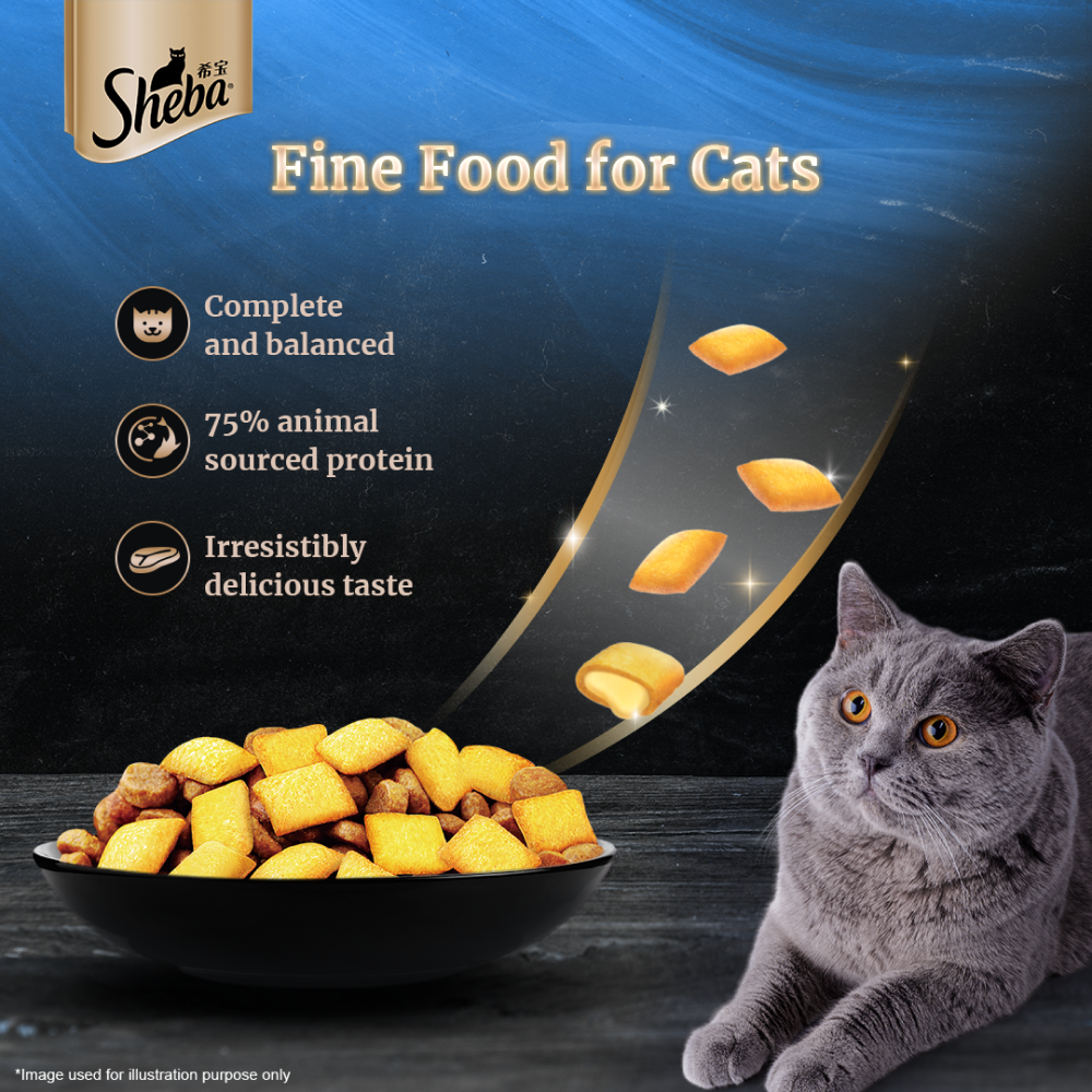 Sheba Tuna Pumpkin  Carrot In Gravy Rich Premium Adult Fine Cat Wet Food and Salmon Flavour Irresistible All Life Stages Cat Dry Food Combo