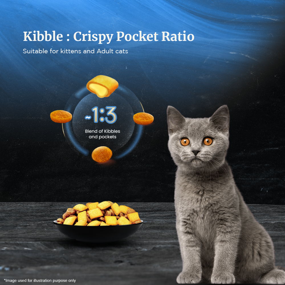 Sheba Chicken Loaf Rich Premium Adult Fine Wet Food and Salmon All Life Stage Cat Dry Food Combo