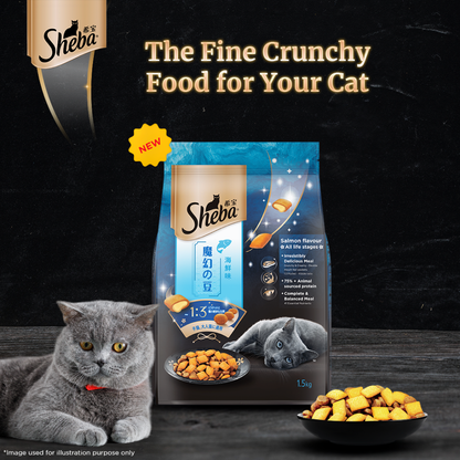 Sheba Skipjack  Salmon Fish Mix Cat Wet Food and Salmon Flavour Irresistible All Life Stages Cat Dry Food Combo