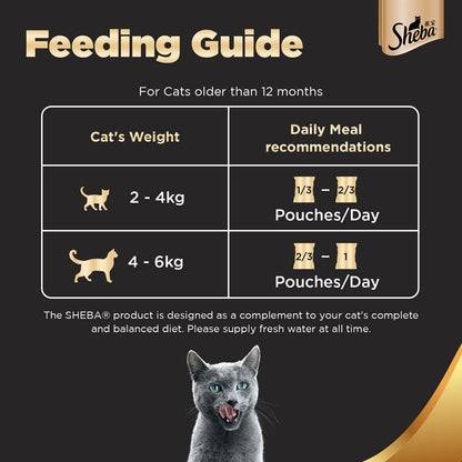 Sheba Tuna Pumpkin  Carrot In Gravy Rich Premium Adult Fine Cat Wet Food and Salmon Flavour Irresistible All Life Stages Cat Dry Food Combo