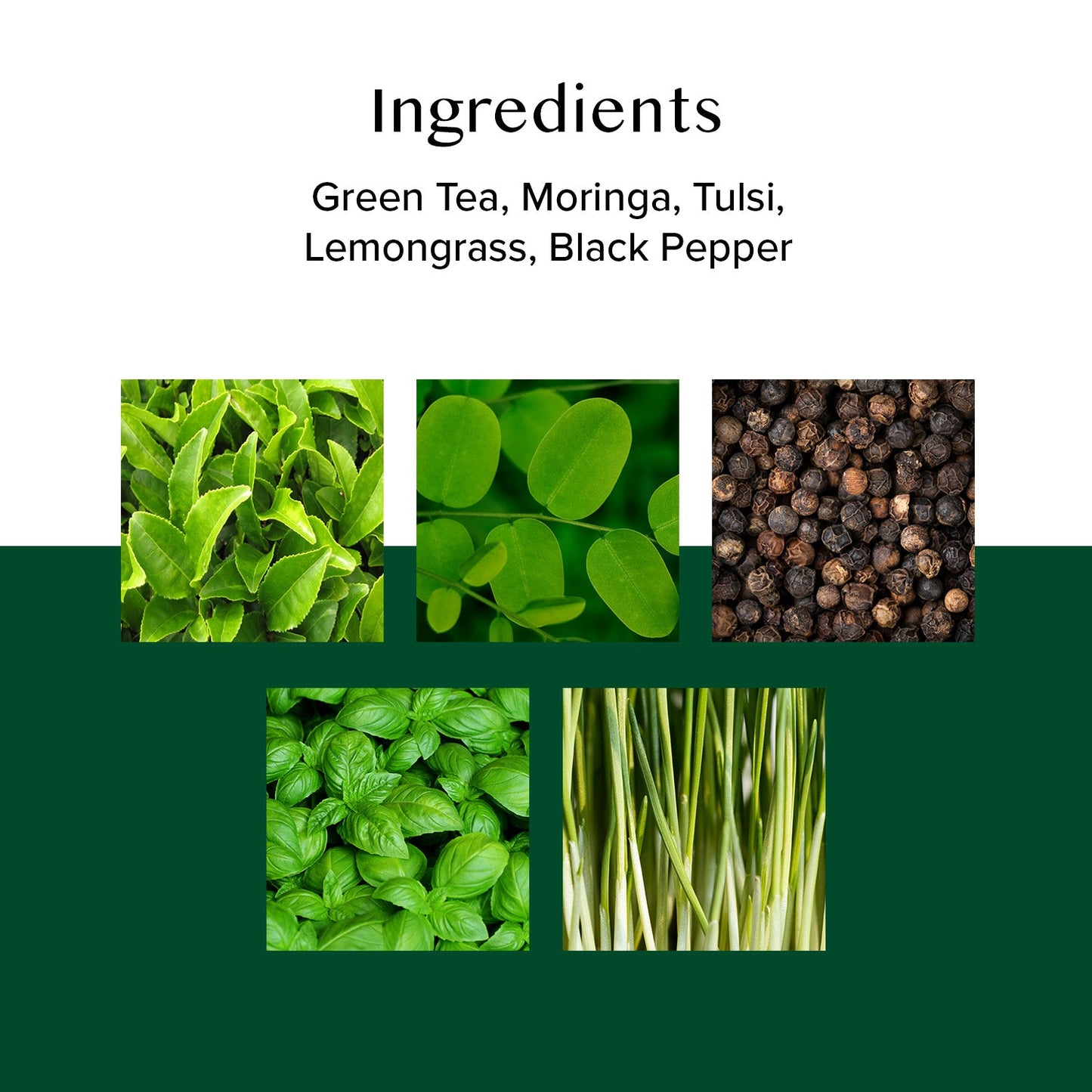 Moringa Tulsi Green Tea 50 Count