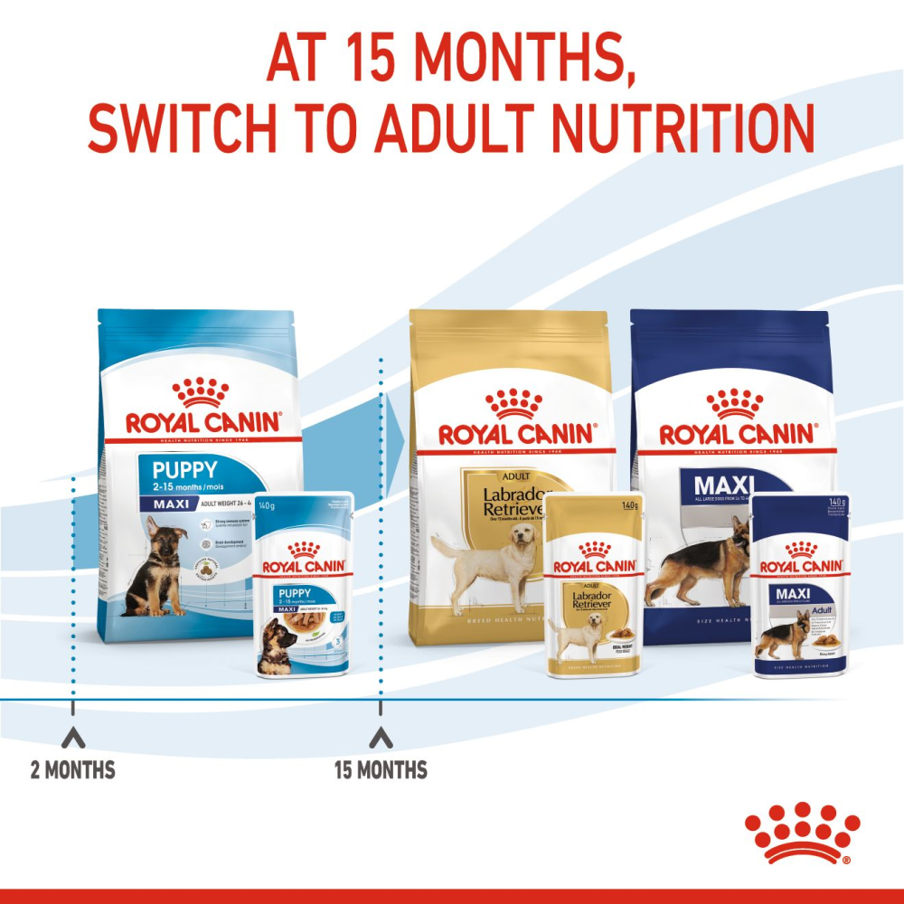 Royal Canin Rottweiler Puppy Dry Food and Maxi Puppy Dog Wet Food Combo