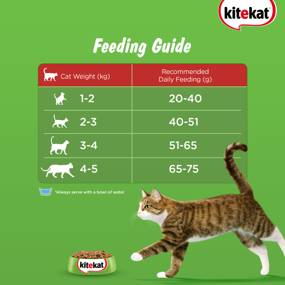 Kitekat Ocean Fish Adult Cat Dry Food