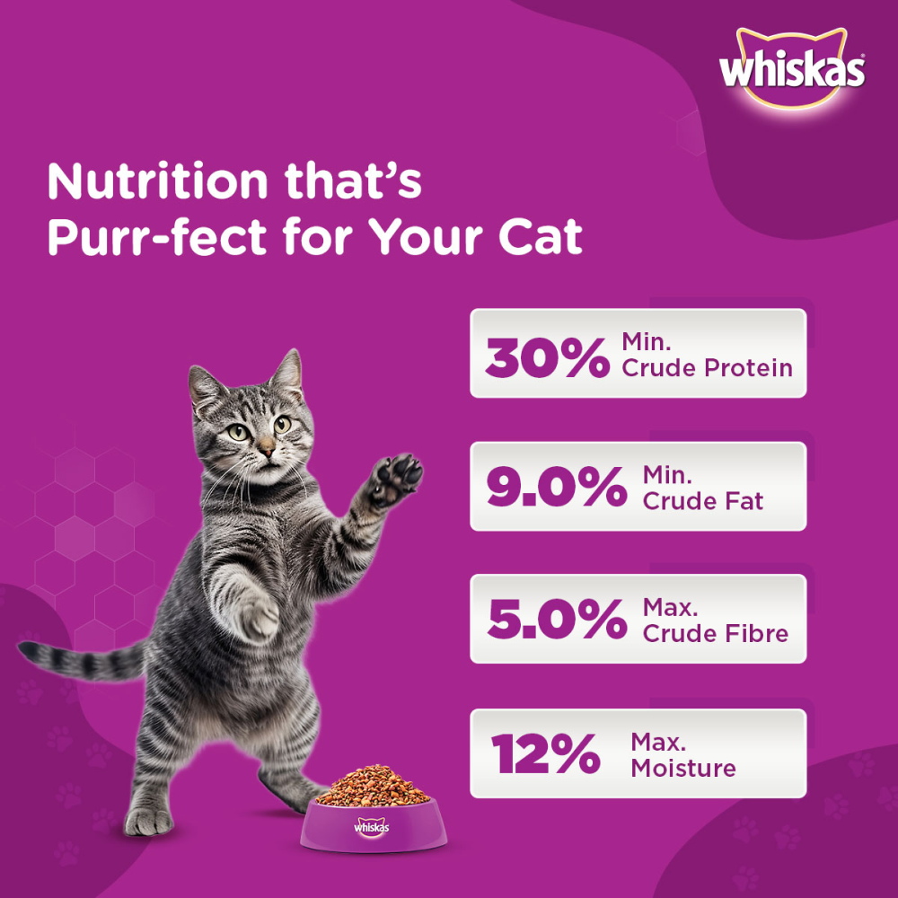 Whiskas Chicken Ocean Fish and Tuna Flavour Adult Cat Dry Food Combo