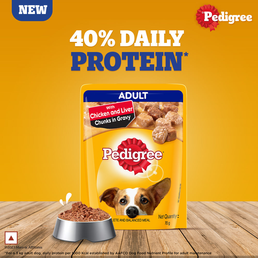 Pedigree Chicken and Liver Chunks in Gravy Adult Dog Wet Food 70g