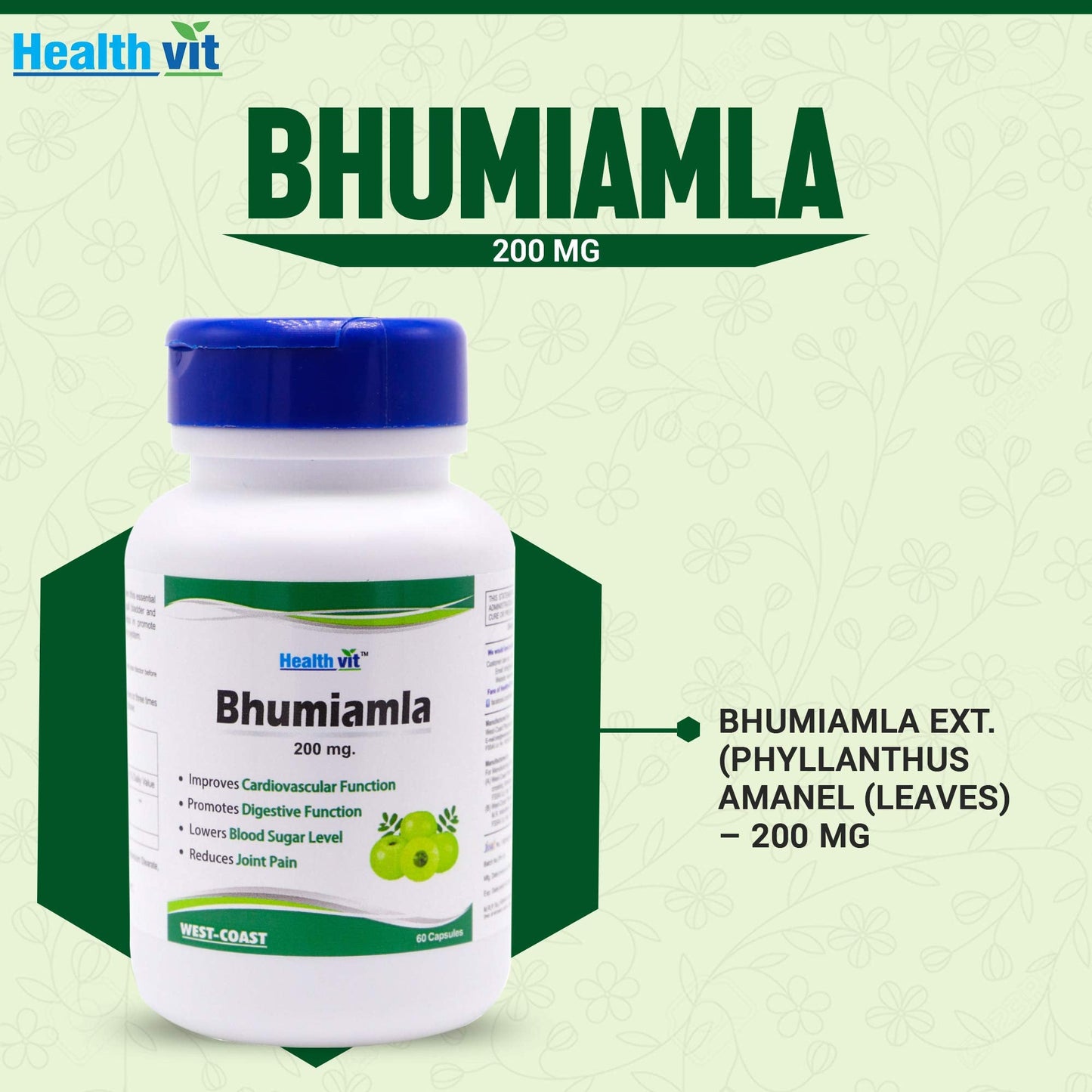 Healthvit Bhumiamla 200mg For Liver Cleanse  Improves Hemoglobin Level And Digestion  Effective In Joint Pain  100 Natural And Vegan  60 Capsules