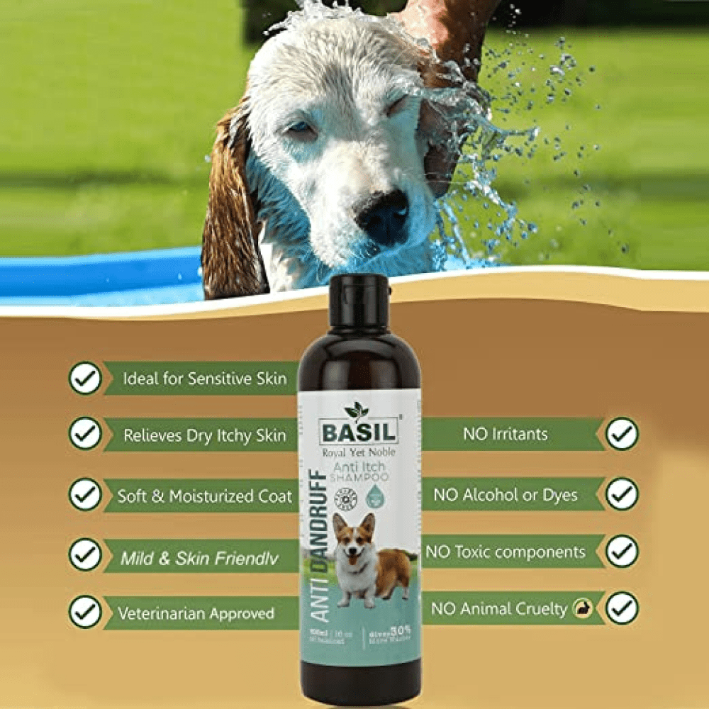 Basil Anti Dandruff  Anti Itch Shampoo for Dogs and Cats